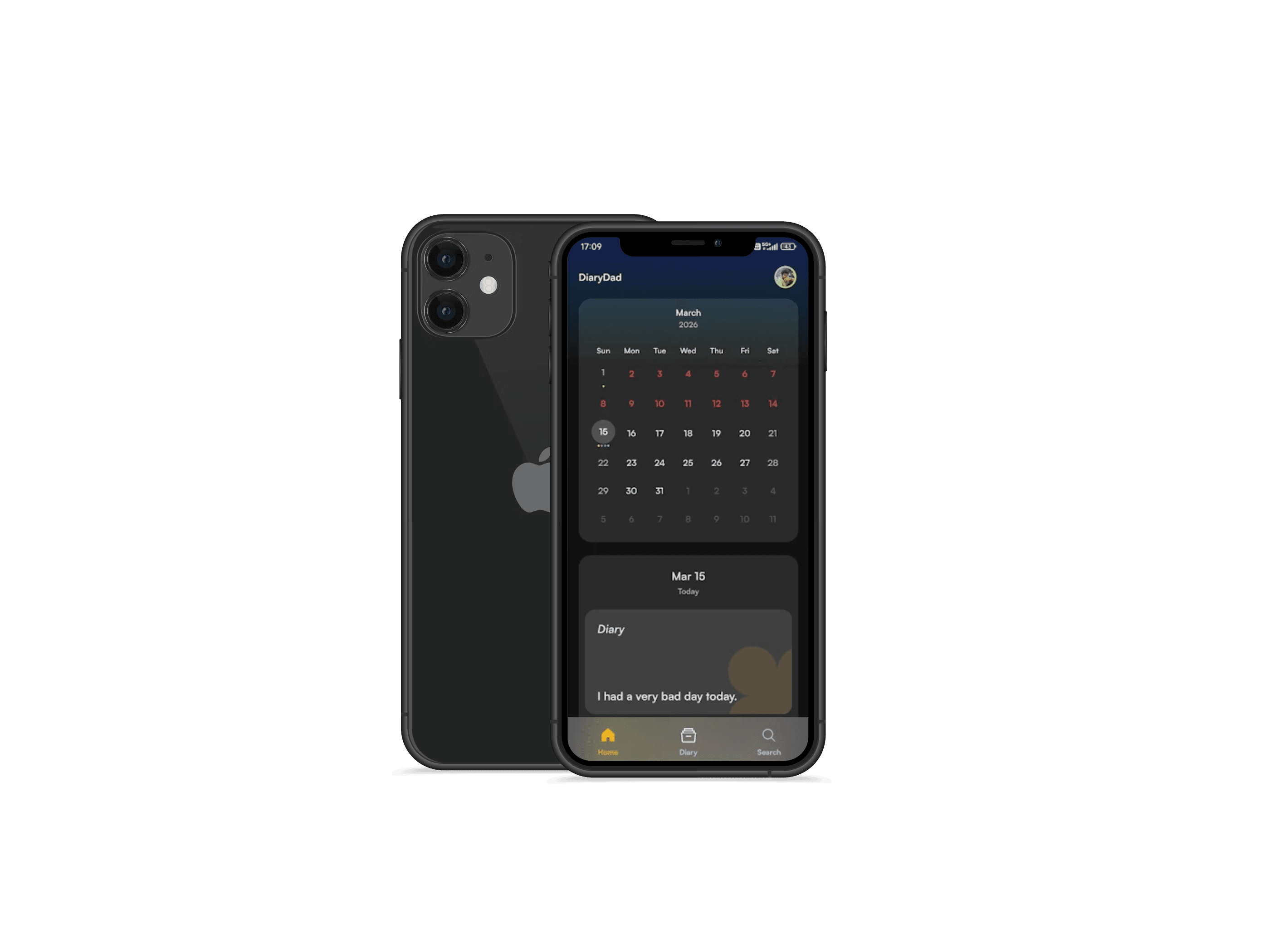 DiaryDad AI insights screen